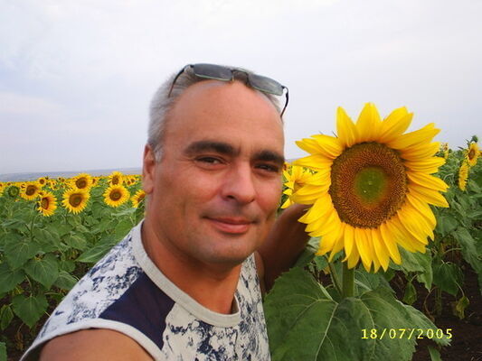  ,   , 56 ,   