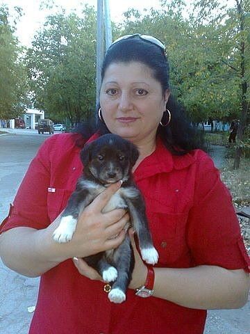  Altavilla Vicentina,   , 59 ,     , c 