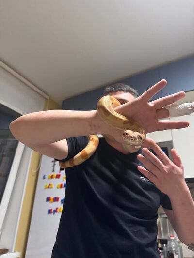  ,   Roman, 26 ,   ,   