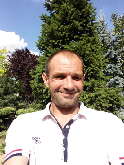  ,   , 43 ,     