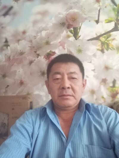  --,   , 61 ,   