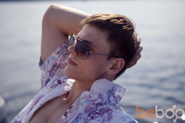  ,   Doberman, 34 ,   ,   , c , 