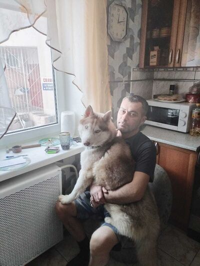  ,   , 44 ,   ,   