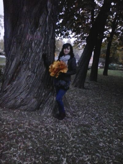  -,   , 51 ,   ,   , c 