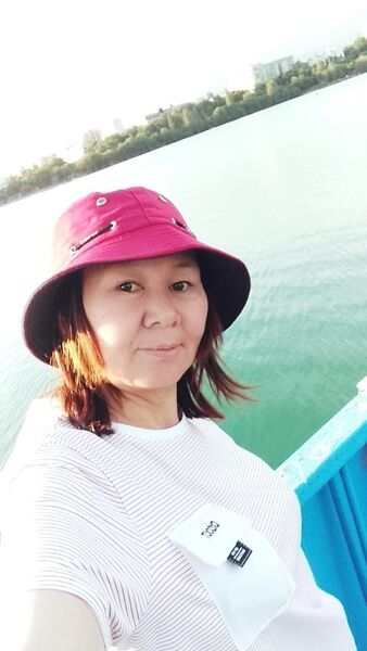  ,   , 43 ,   ,   