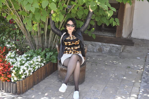  ,   , 43 ,  