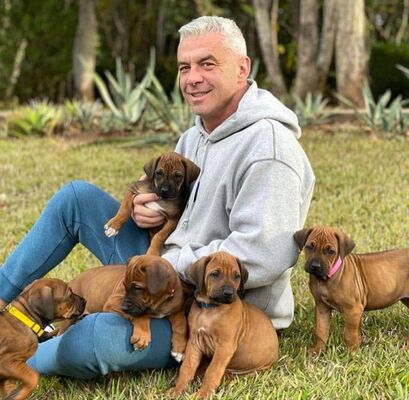  ,   Frankcarlos, 60 ,   c 