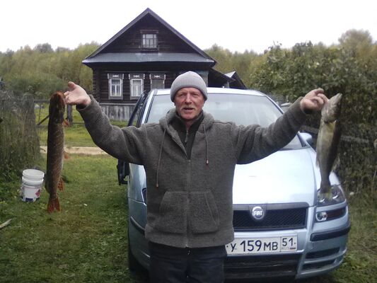   ,   Wiktor, 71 ,   ,   , c 