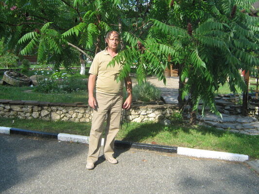  ,   , 62 ,  