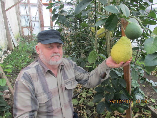  ,   Vitek, 76 ,   ,   , c 
