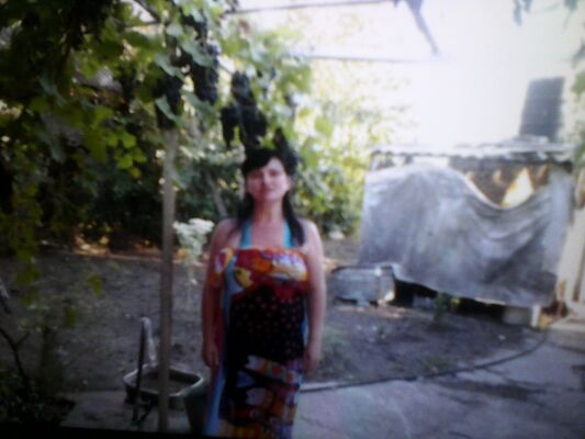  ,   , 51 ,     , c 