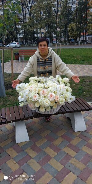  ,   , 63 ,   ,   