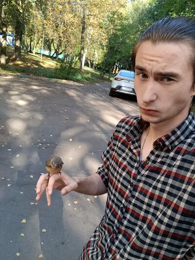  ,   Lolosonik, 22 ,   ,   