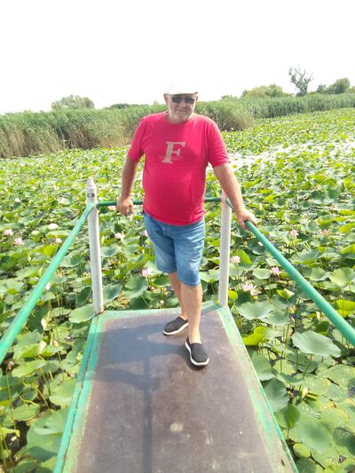  ,   , 52 ,   ,   , 