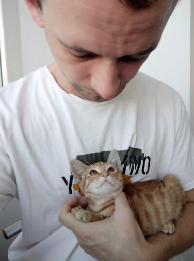 ,   Alex, 37 ,   ,   , c 