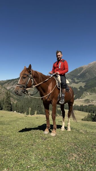  ,   , 34 ,   ,   , c 