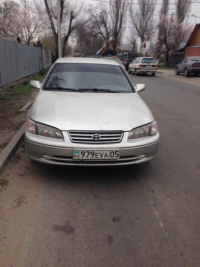  ,   Maks, 34 ,   , 