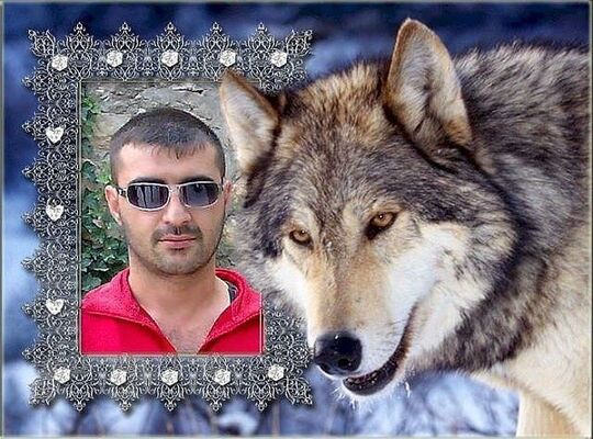  ,   ARMEN, 45 ,   