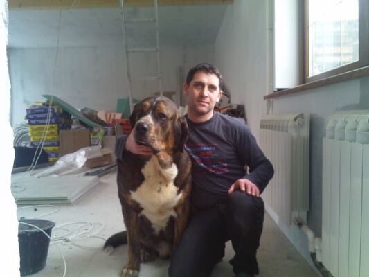  -,   , 47 ,   ,   , c 