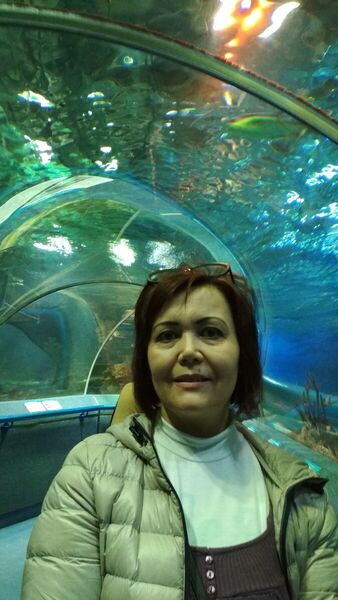  -,   , 55 ,   ,   , c 