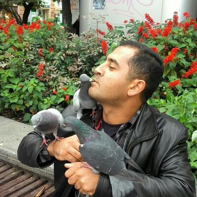  ,   Elman, 43 ,   ,   , c , 