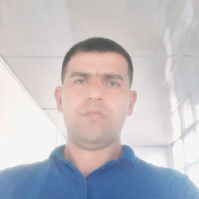  ,   Avaz, 41 ,   ,   