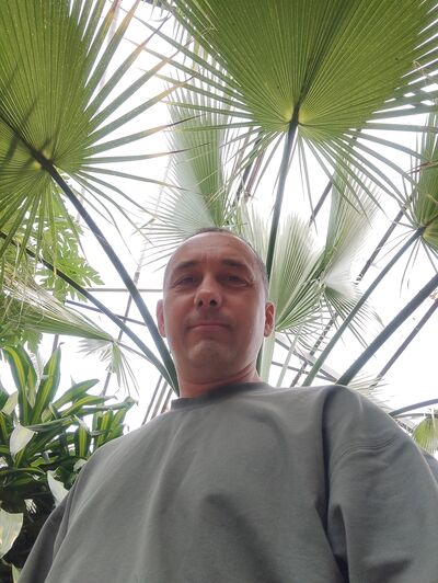  --,   , 40 ,   ,   