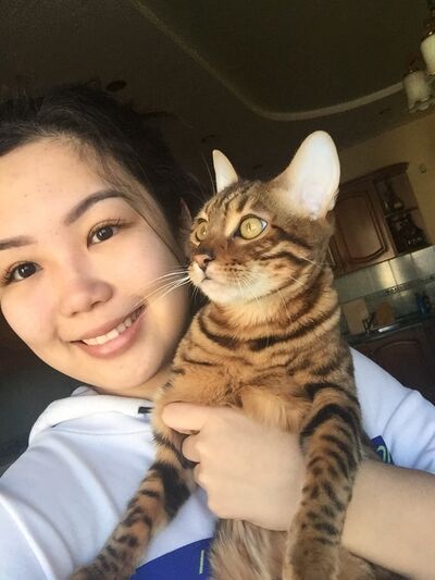  ,   , 26 ,  