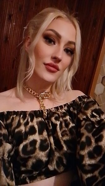  -,   , 29 ,   ,   