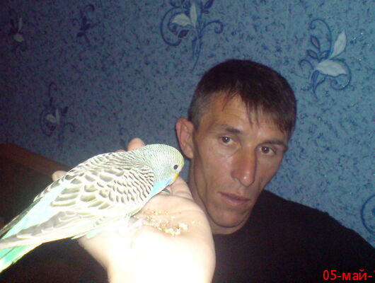  ,   , 51 ,   ,   , c 