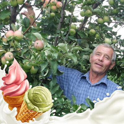  ,   , 77 ,   ,   