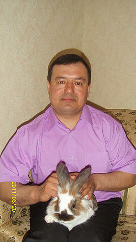  ,   , 54 ,   ,   , c 