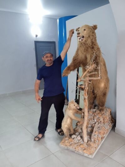  ,   , 48 ,   ,   
