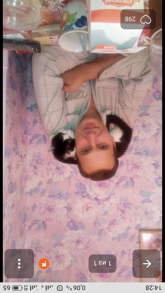  ,   , 56 ,   ,   