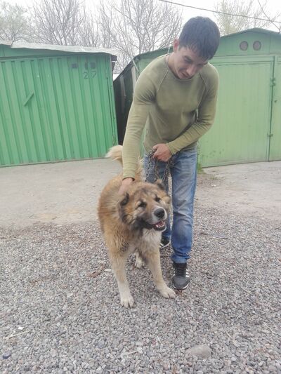  ,   Ruslan, 38 ,   ,   , c 