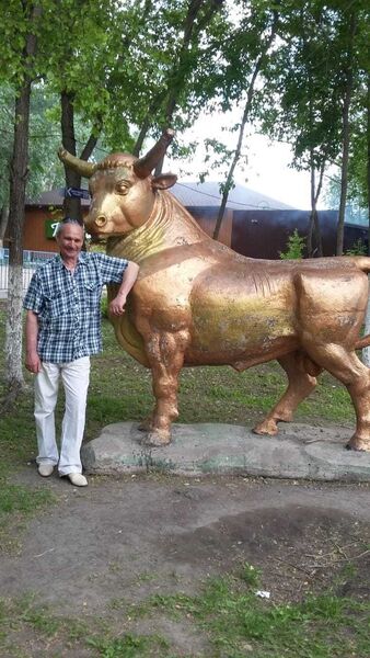  ,   Dima, 66 ,   ,   , c 