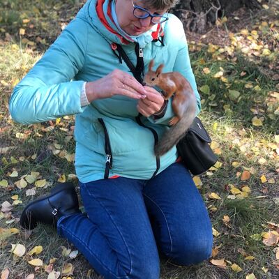  ,   , 58 ,     , c , 