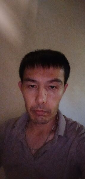  -,   , 41 ,   ,   , c 