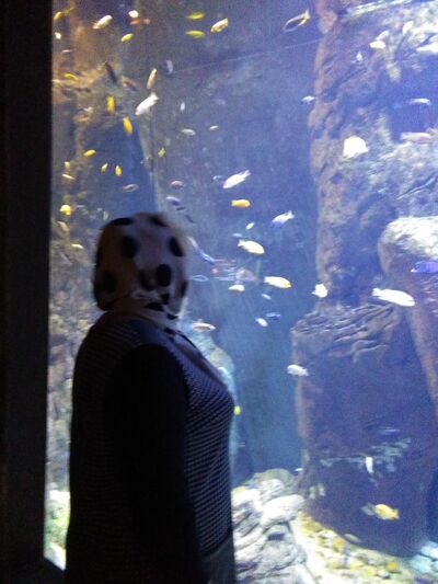   ,   , 63 ,   ,   , c 