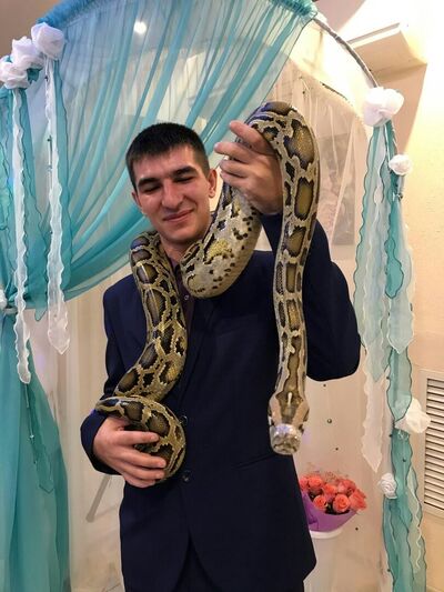  ,   , 28 ,   c 