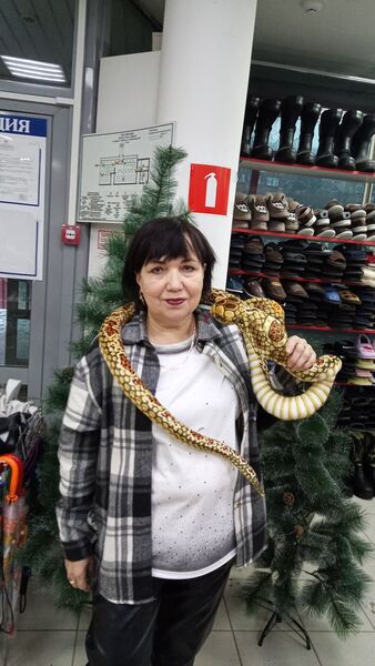  ,   , 58 ,   ,   