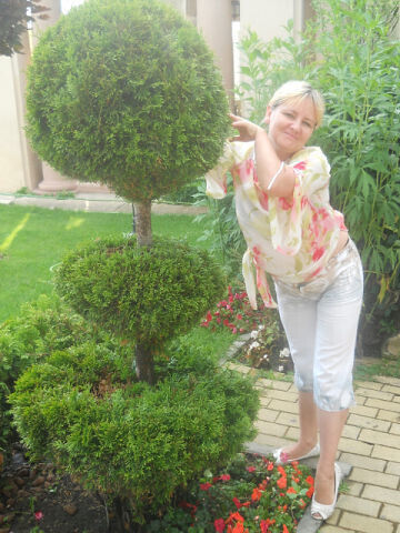  ,   , 52 ,   