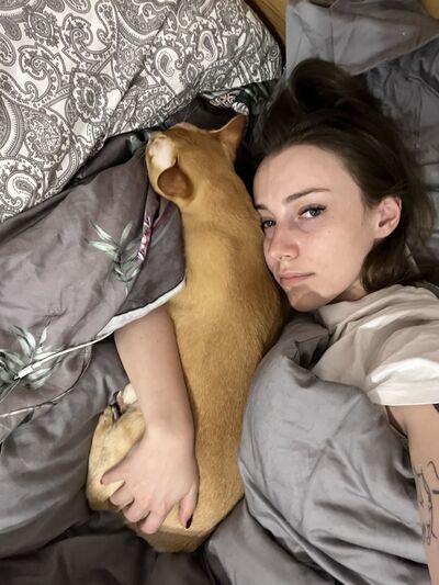  -,   , 29 ,   ,   