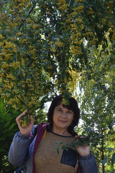  ,   , 50 ,     , c 