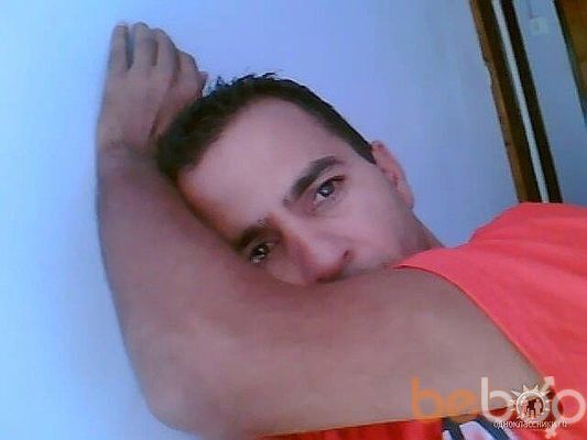  ,   Danish, 49 ,   
