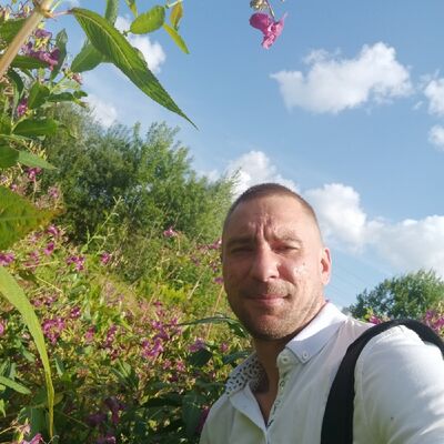  -,   , 39 ,   ,   