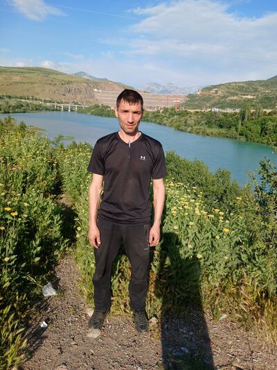  ,   Alfret, 41 ,   ,   