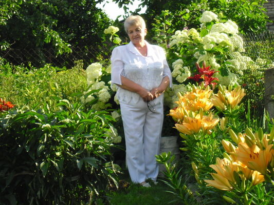  ,   , 71 ,     , c 