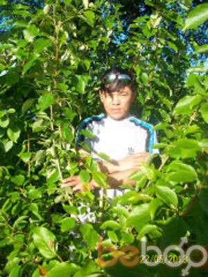 ���������� �����-���������, ���� ������� Malik, 39 ���, ������������ ��� ������, ���������