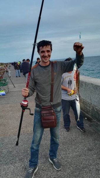  ,   , 43 ,   